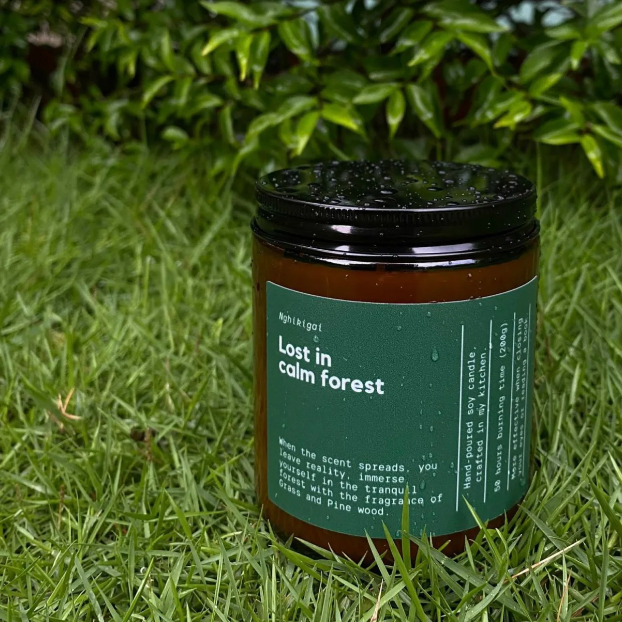 Nến thơm cao cấp| Nến kể chuyện | Lost in calm forest - Ảnh 2